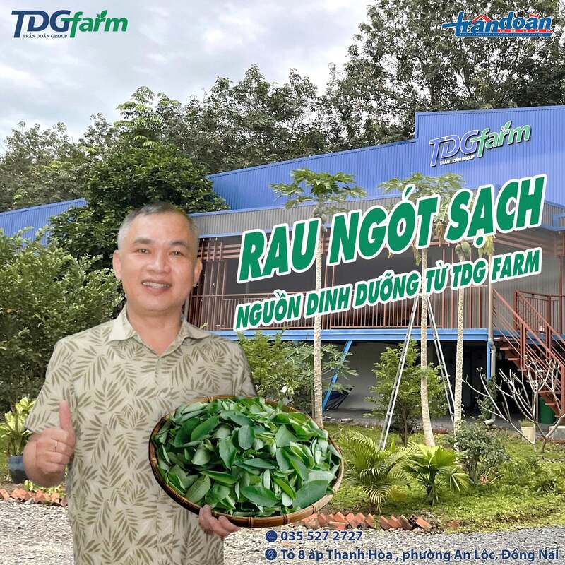 Hình ảnh công ty TDG Farm